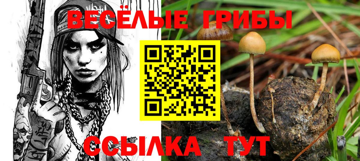 Дербент  Галлюциногенные грибы MAGIC MUSHROOMS  Вход с VPN 